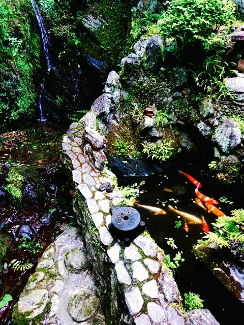 f:id:sochishu:20190625171455j:image