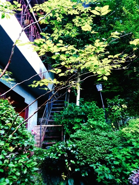 f:id:sochishu:20190625171617j:image f:id:sochishu:20190625171617j:image