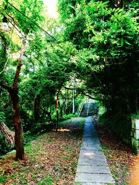 f:id:sochishu:20190625174025j:image f:id:sochishu:20190625174025j:image