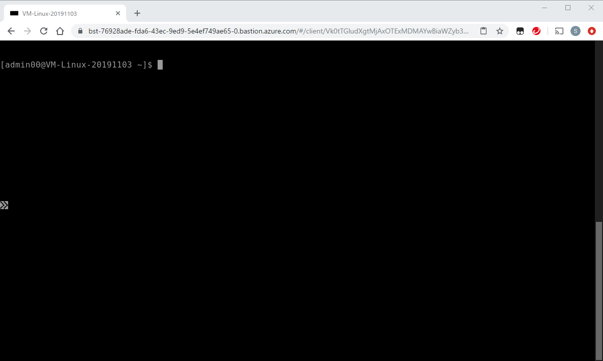 f:id:socho966:20191103143907p:plain Linuxに接続できたところ