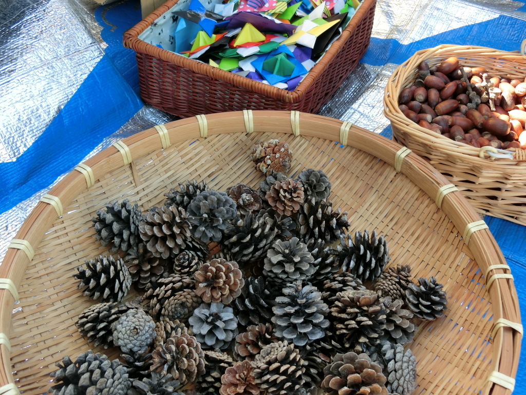 f:id:social_welfare:20181021185310j:plain