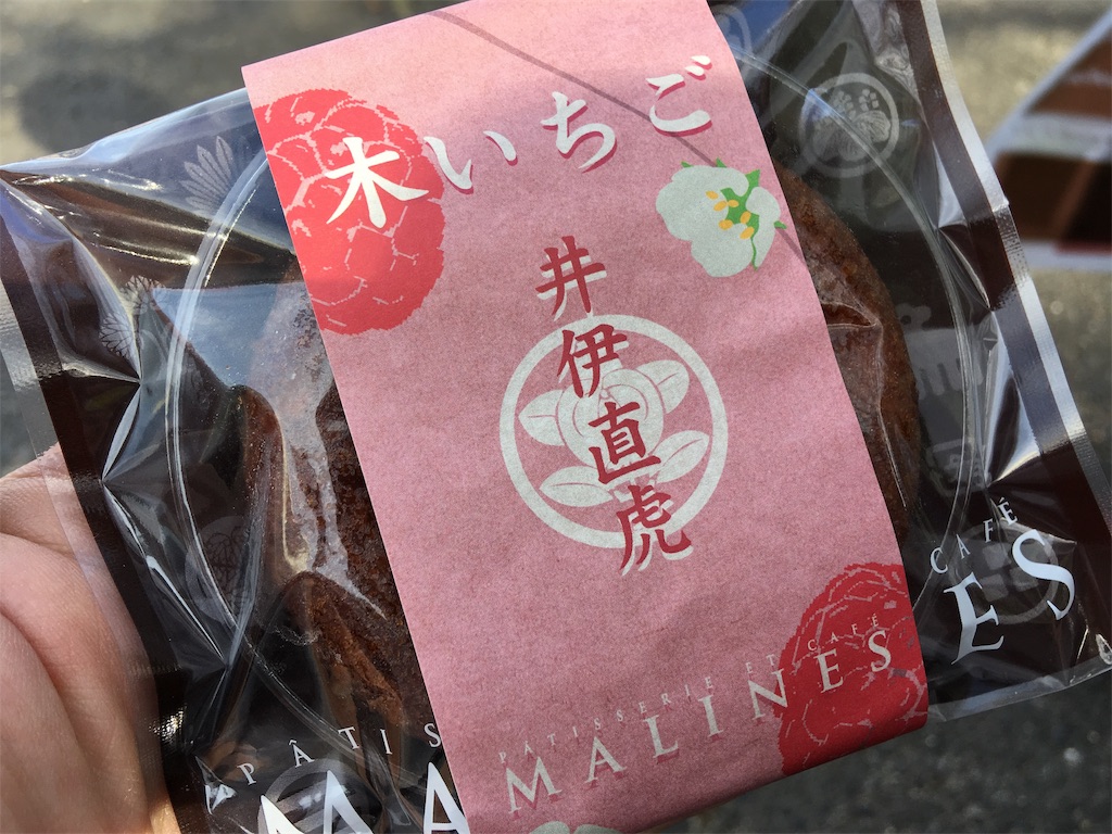 f:id:social_welfare:20181118201458j:image