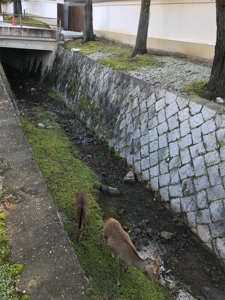 f:id:social_welfare:20201107183329j:image