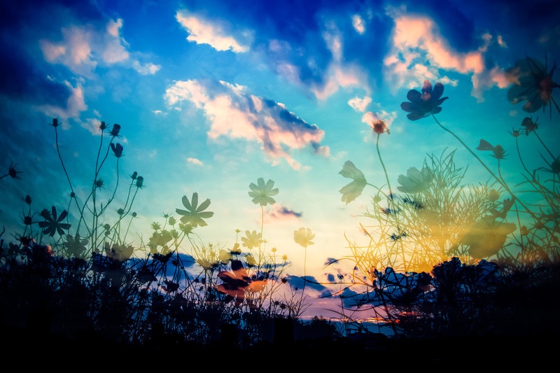 f:id:social_welfare:20230423192515j:image f:id:social_welfare:20230423192515j:image