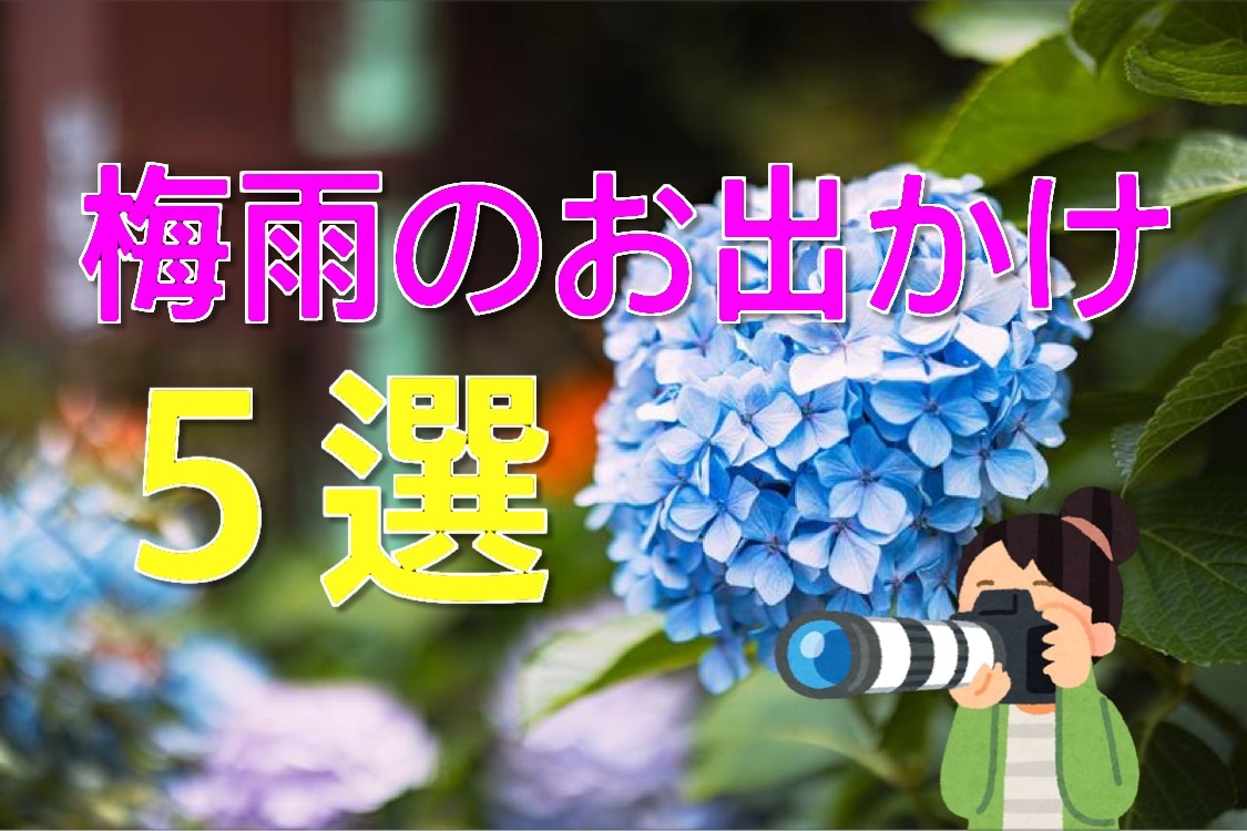 f:id:social_welfare:20230630084253j:image