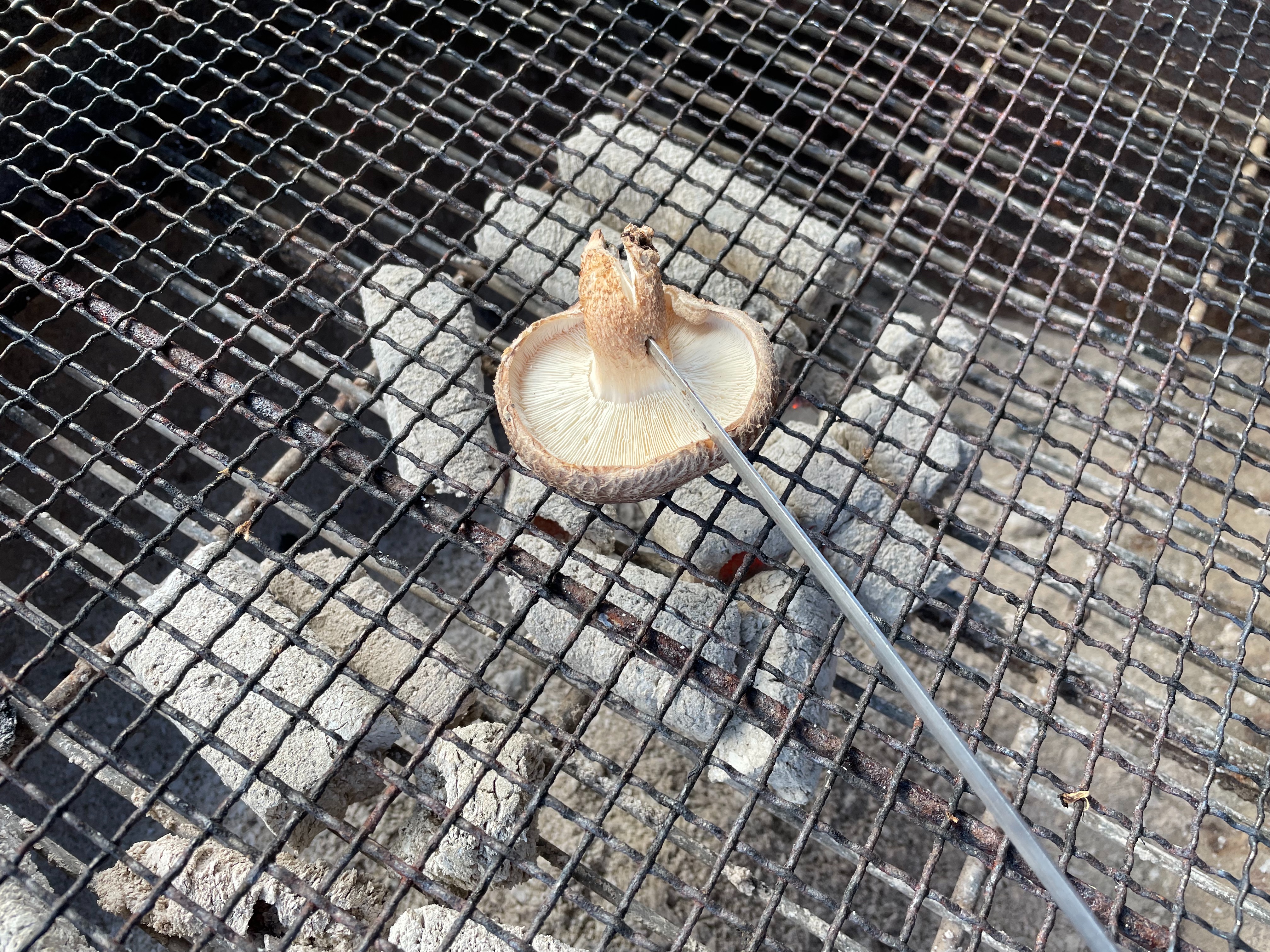 f:id:social_welfare:20231203204702j:image