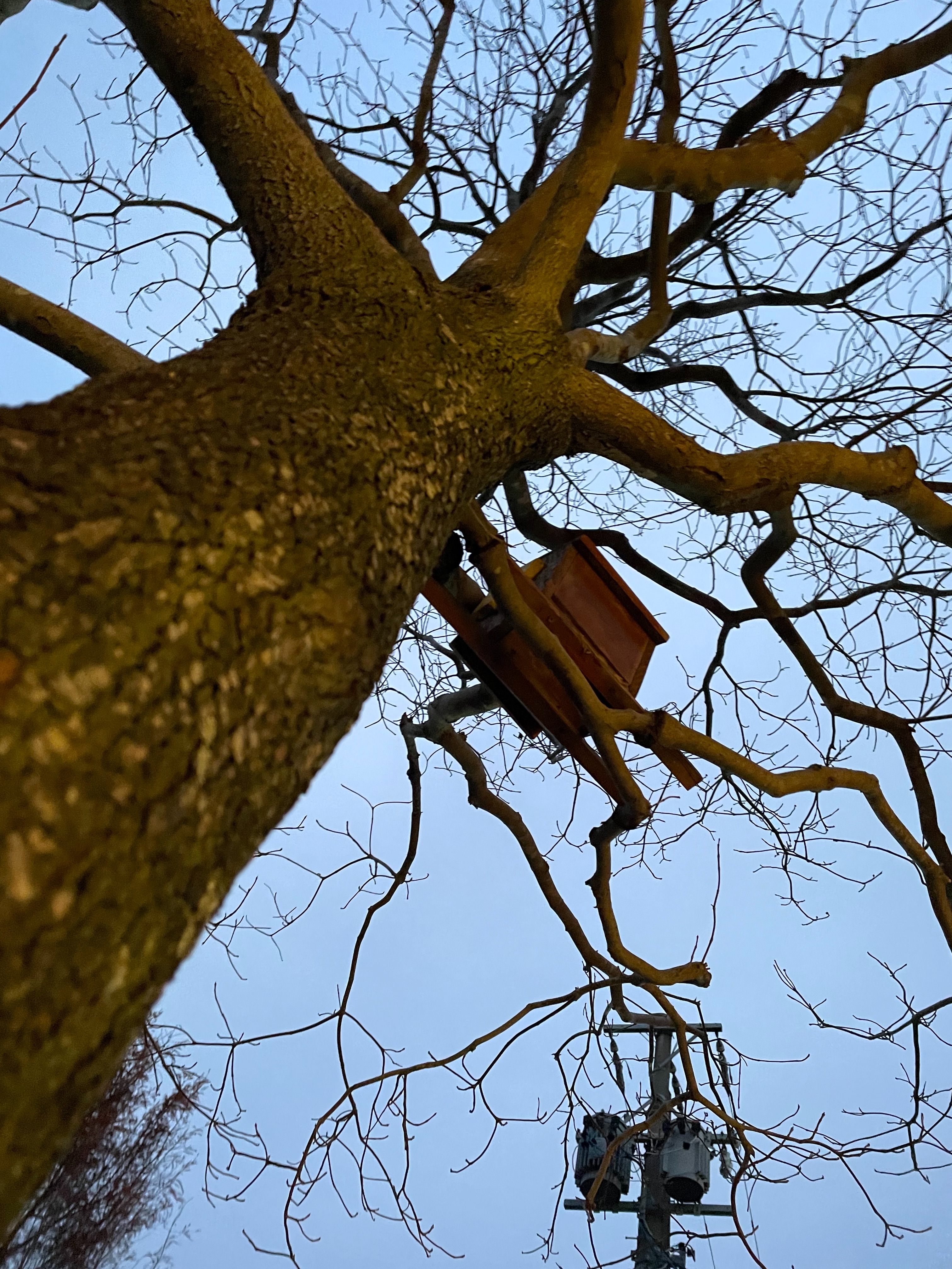 f:id:social_welfare:20240105215420j:image