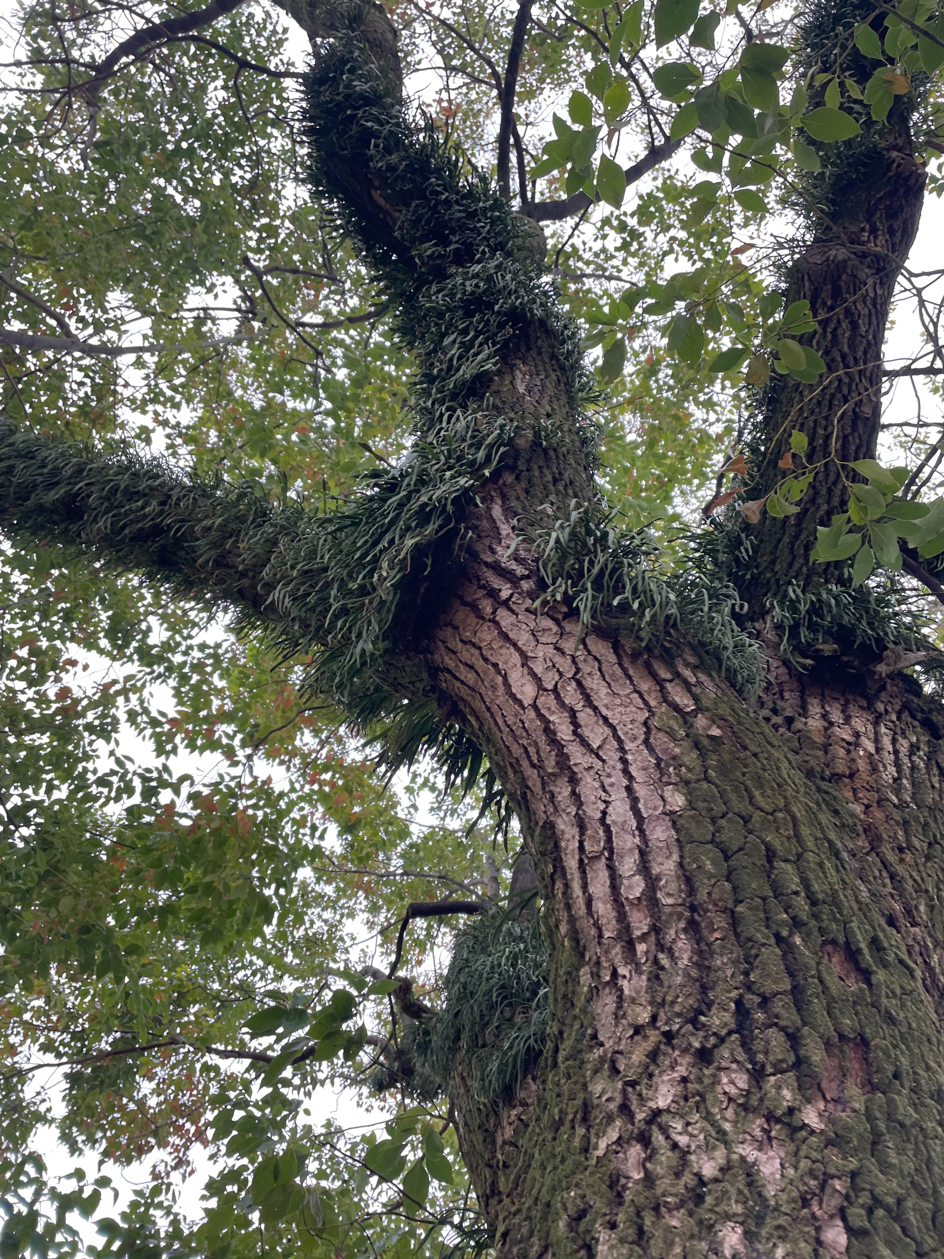 f:id:social_welfare:20240418212601j:image