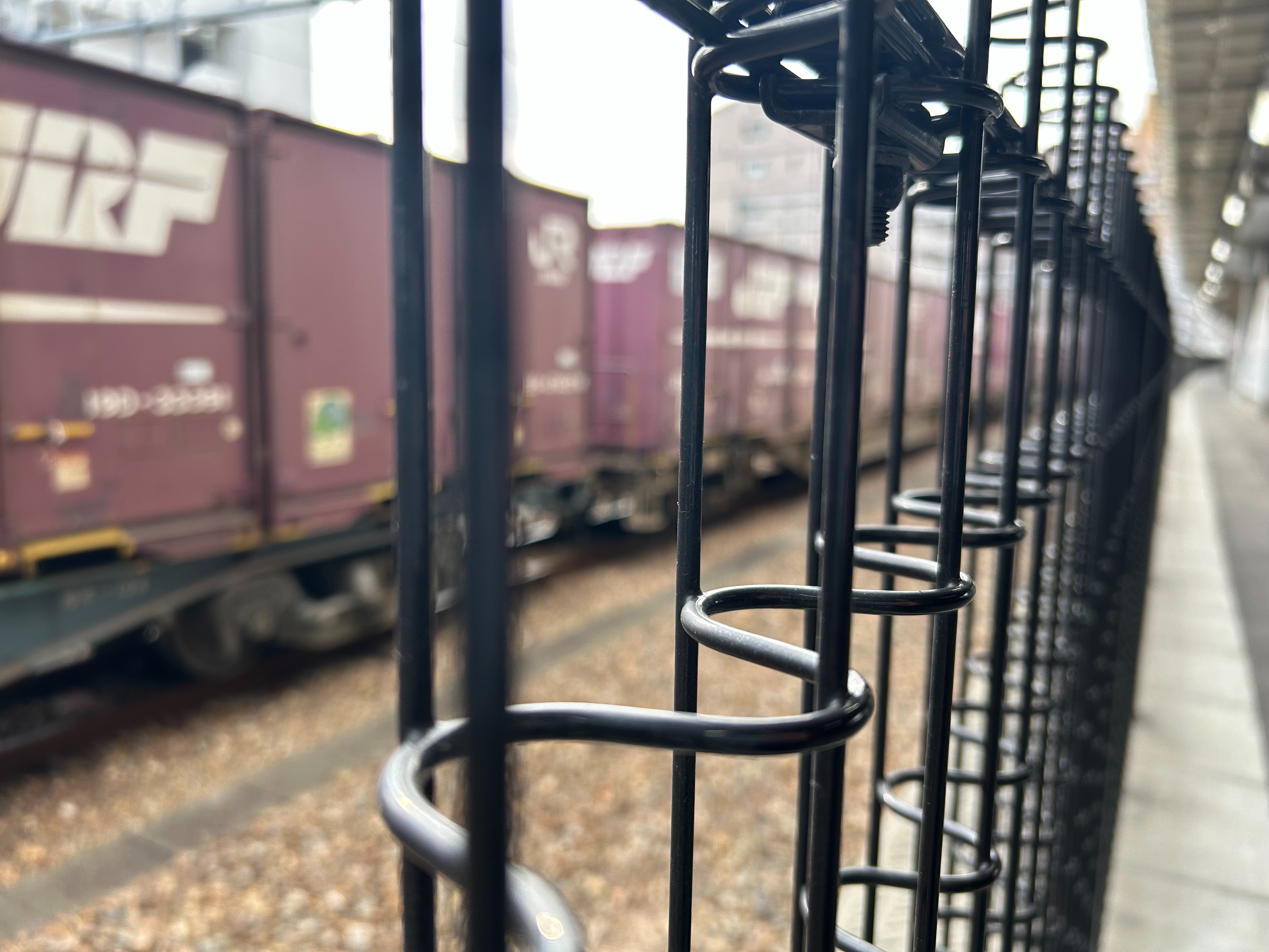 f:id:social_welfare:20241220120059j:image