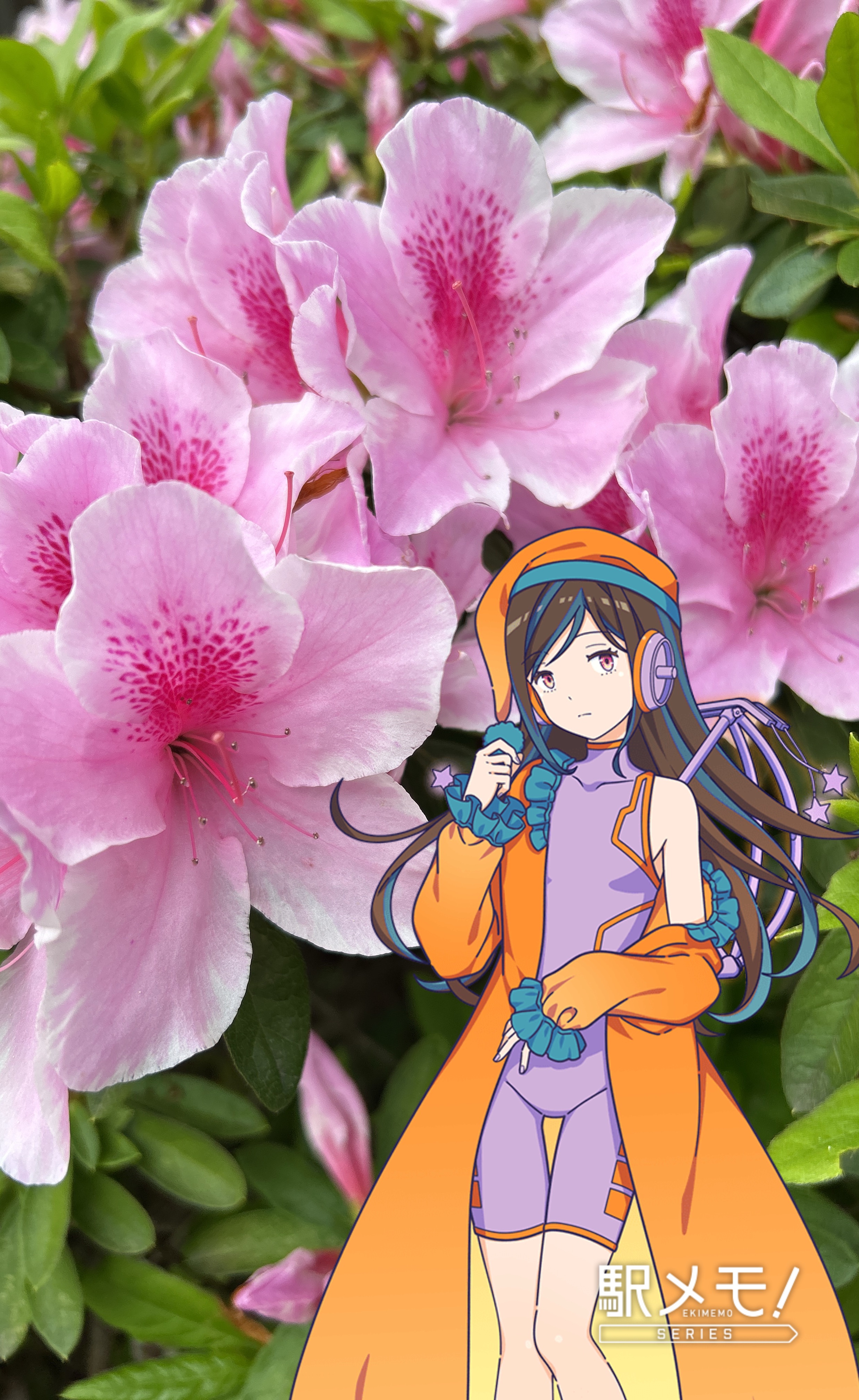 f:id:social_welfare:20260420070210j:image
