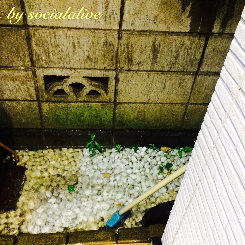 f:id:socialalive-yokohama:20160714191445j:image f:id:socialalive-yokohama:20160714191445j:image