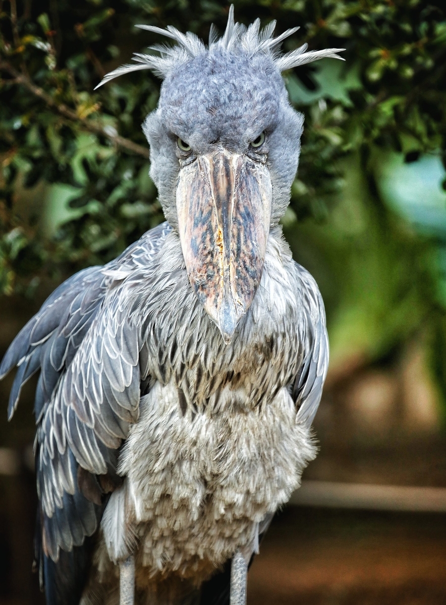 f:id:socialen:20190814202144j:plain f:id:socialen:20190814202144j:plain