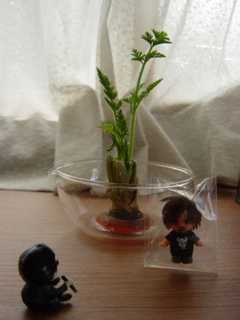 f:id:sociologicls:20100119142319j:image f:id:sociologicls:20100119142319j:image