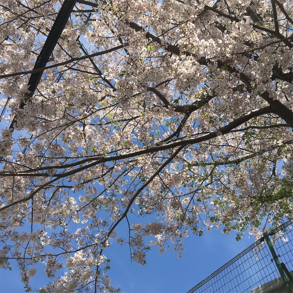 f:id:sociologicls:20190413183811j:image f:id:sociologicls:20190413183811j:image
