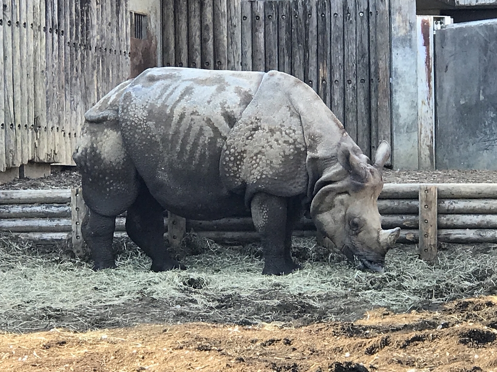 f:id:socius_lover:20190120153944j:plain