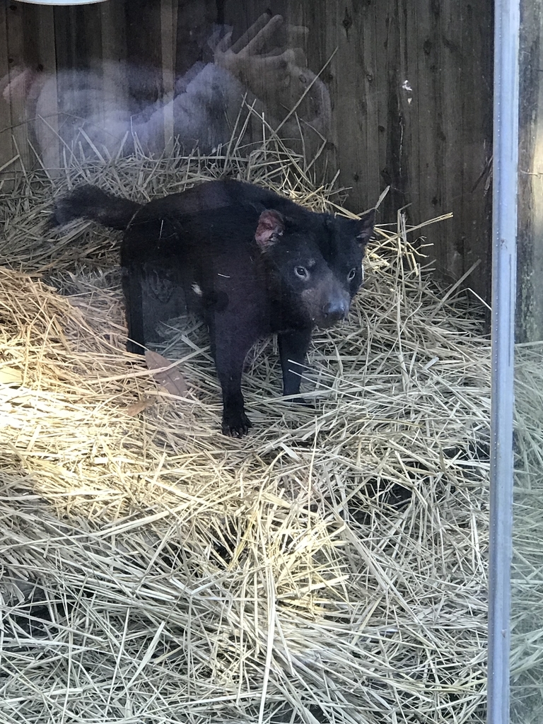 f:id:socius_lover:20190120154137j:plain