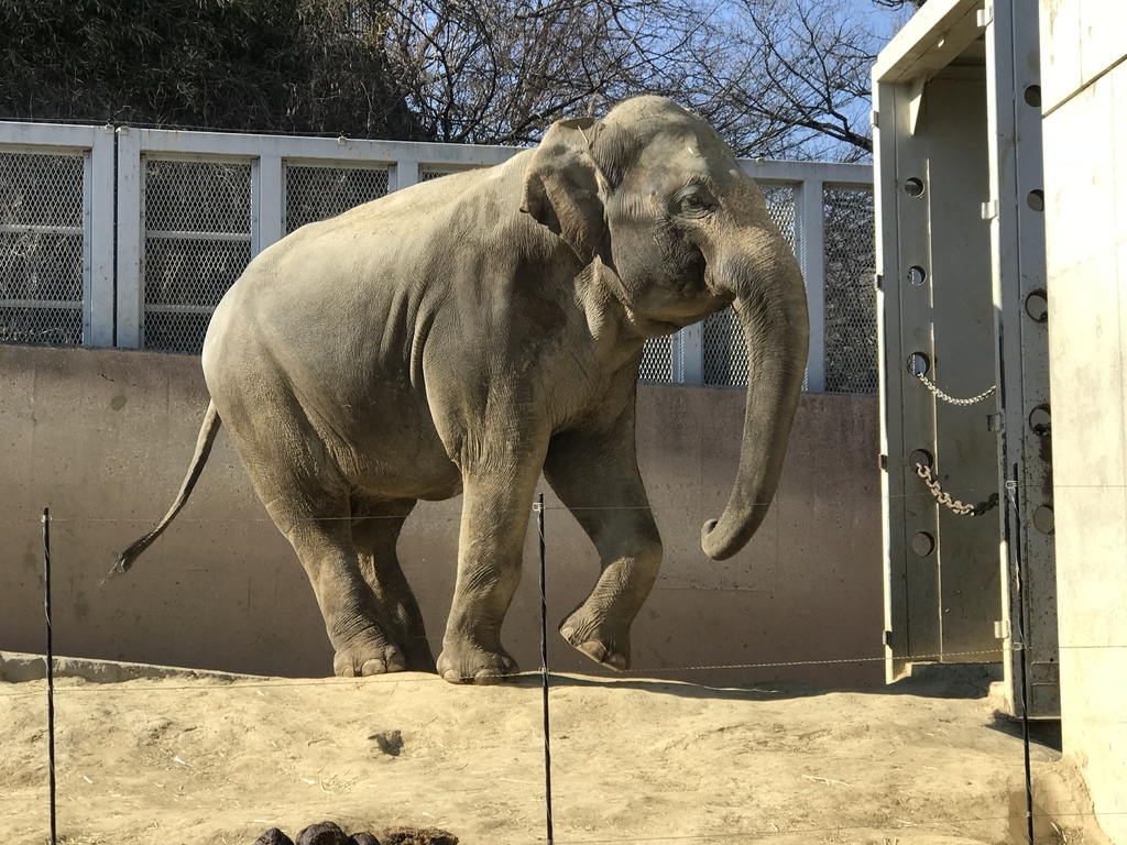 f:id:socius_lover:20190120154214j:plain