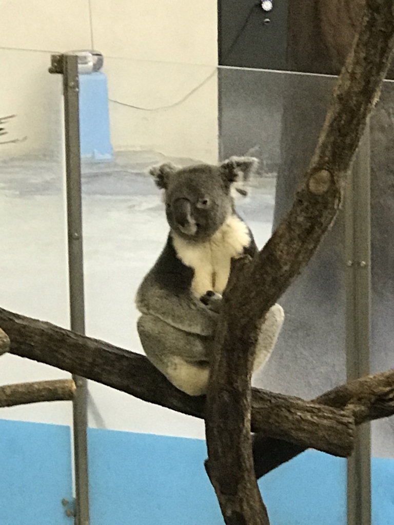 f:id:socius_lover:20190120154249j:plain