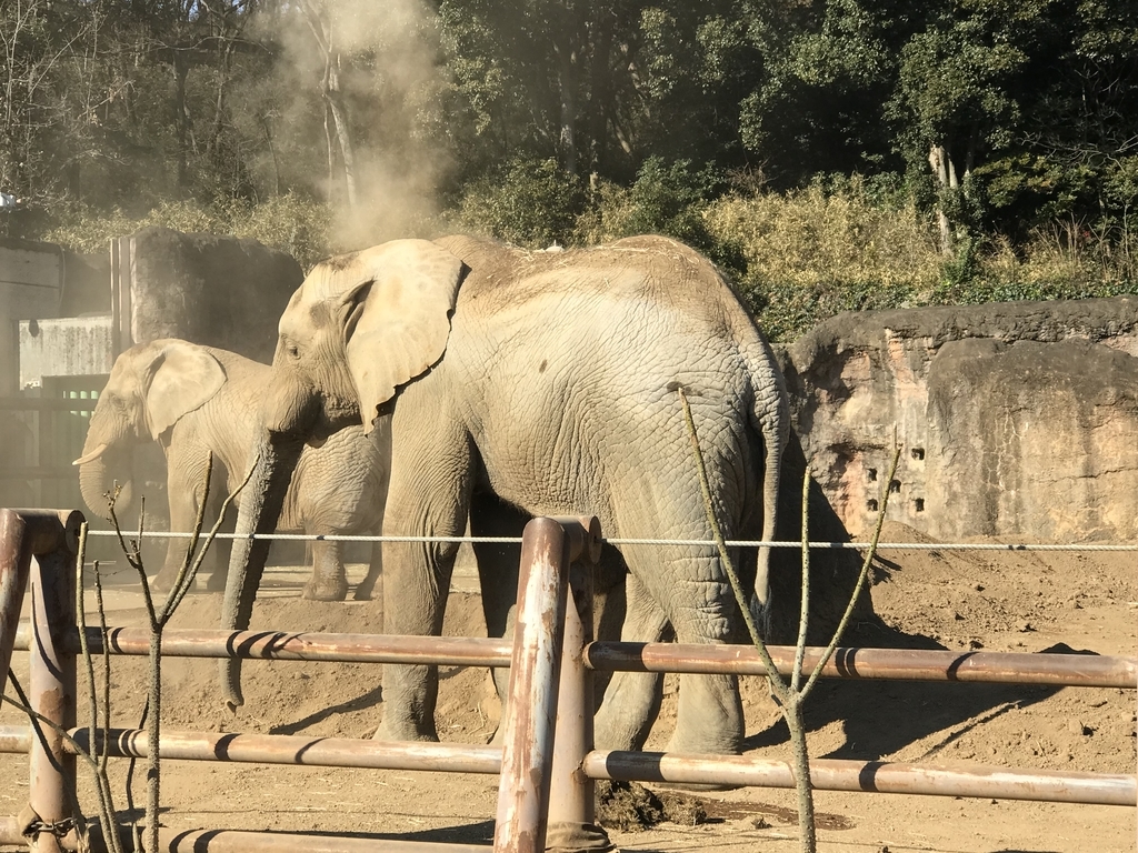 f:id:socius_lover:20190120154528j:plain