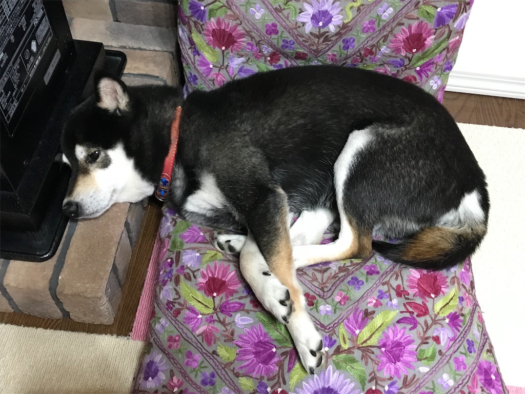 f:id:soda1020:20190408204219j:image f:id:soda1020:20190408204219j:image