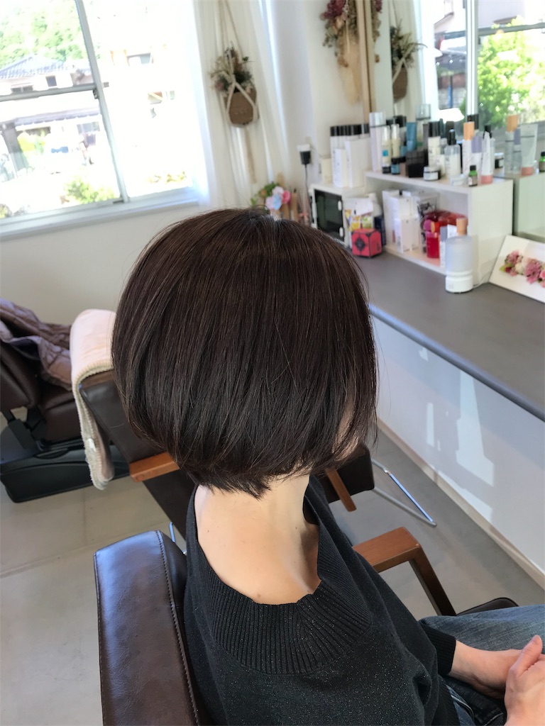 f:id:soda1020:20190523103952j:image f:id:soda1020:20190523103952j:image