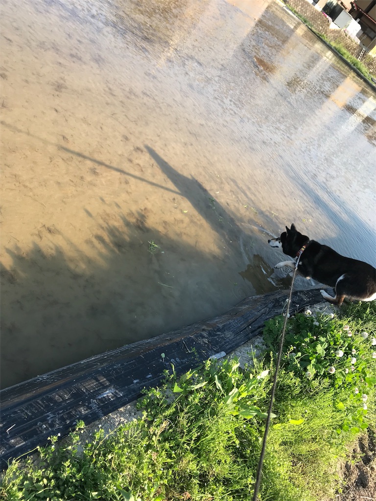 f:id:soda1020:20190526121209j:image f:id:soda1020:20190526121209j:image