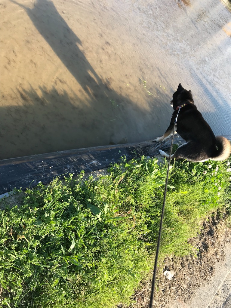f:id:soda1020:20190526121211j:image f:id:soda1020:20190526121211j:image
