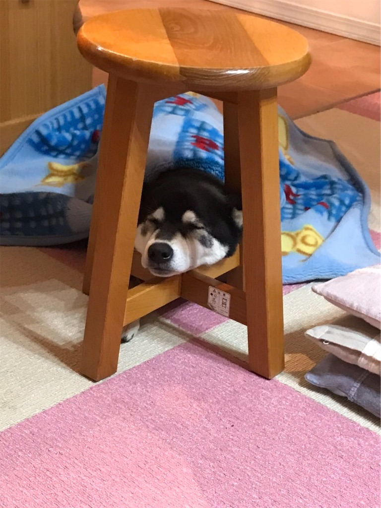 f:id:soda1020:20190607211704j:image f:id:soda1020:20190607211704j:image