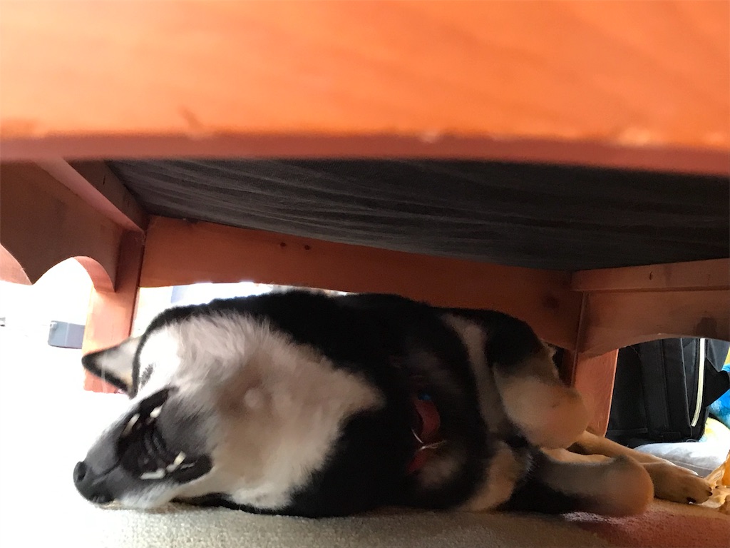 f:id:soda1020:20190607211707j:image f:id:soda1020:20190607211707j:image
