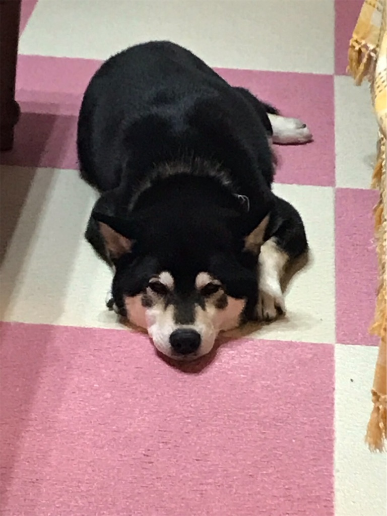 f:id:soda1020:20190612182706j:image f:id:soda1020:20190612182706j:image