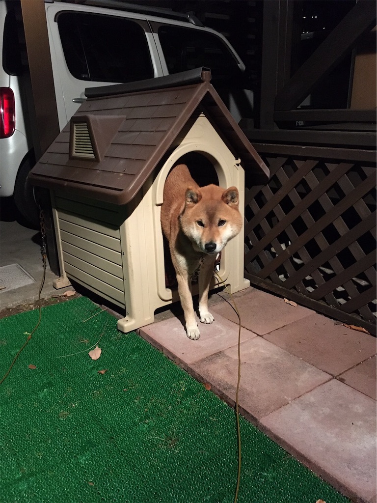 f:id:soda1020:20191127182844j:image f:id:soda1020:20191127182844j:image