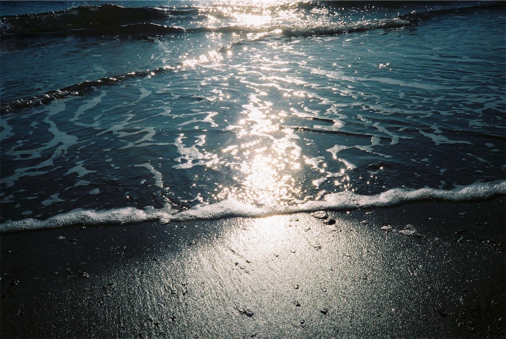 f:id:sodalite0804:20221231094913j:image f:id:sodalite0804:20221231094913j:image