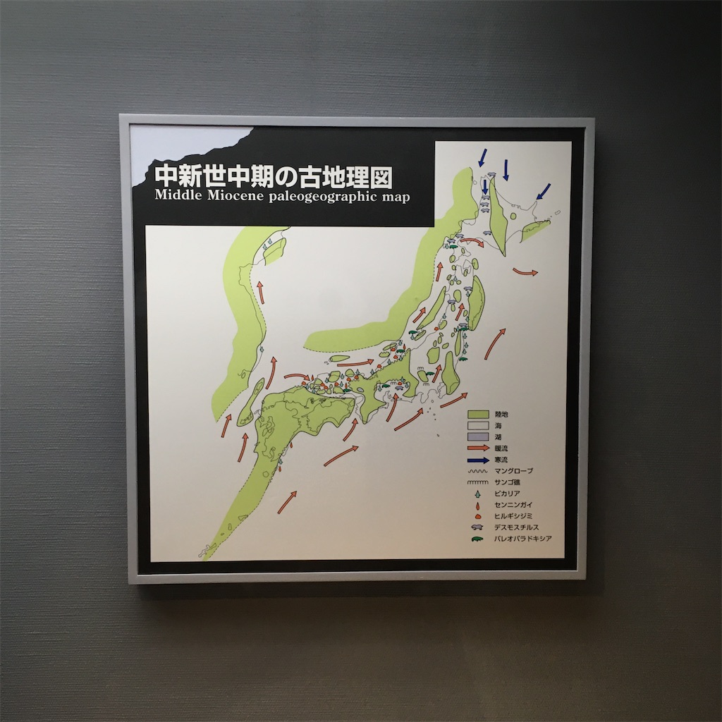 f:id:sodeng:20210602175117j:image f:id:sodeng:20210602175117j:image