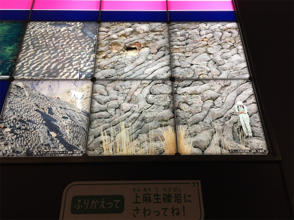 f:id:sodeng:20210602175140j:image f:id:sodeng:20210602175140j:image