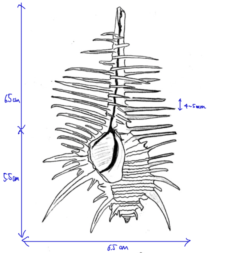 f:id:sodeng:20211227223003p:plain