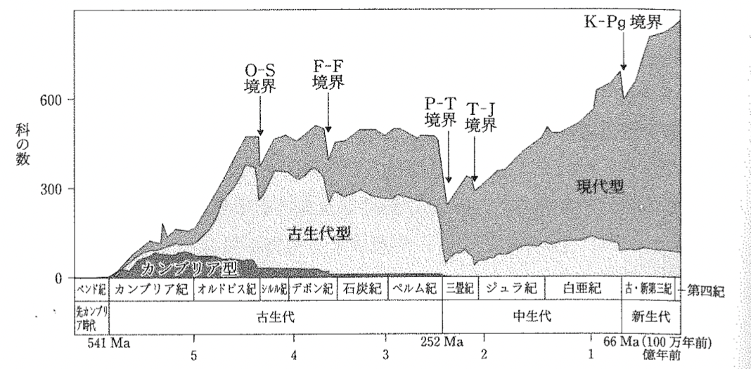 生物種なんて増減するのが普通？ - 月刊木村：清須市で営む塾での日々