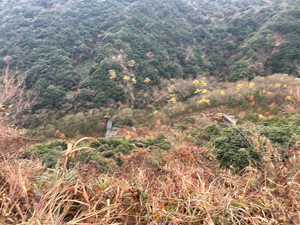 f:id:sodeng:20231223194408j:image