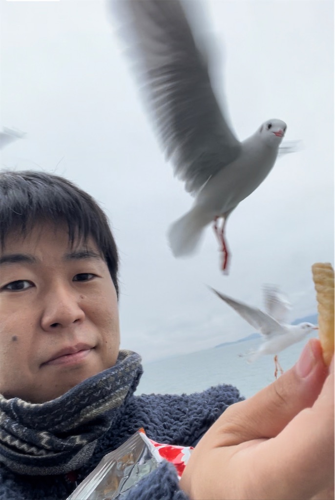f:id:sodeng:20231229202901j:image
