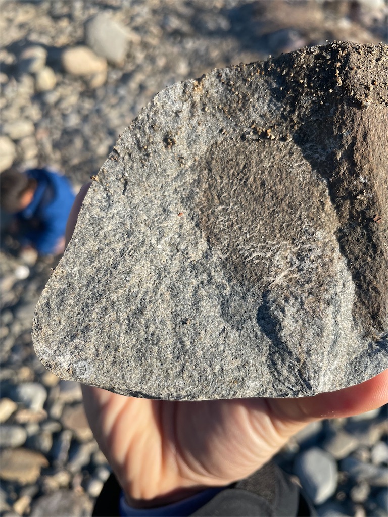 f:id:sodeng:20250123164914j:image