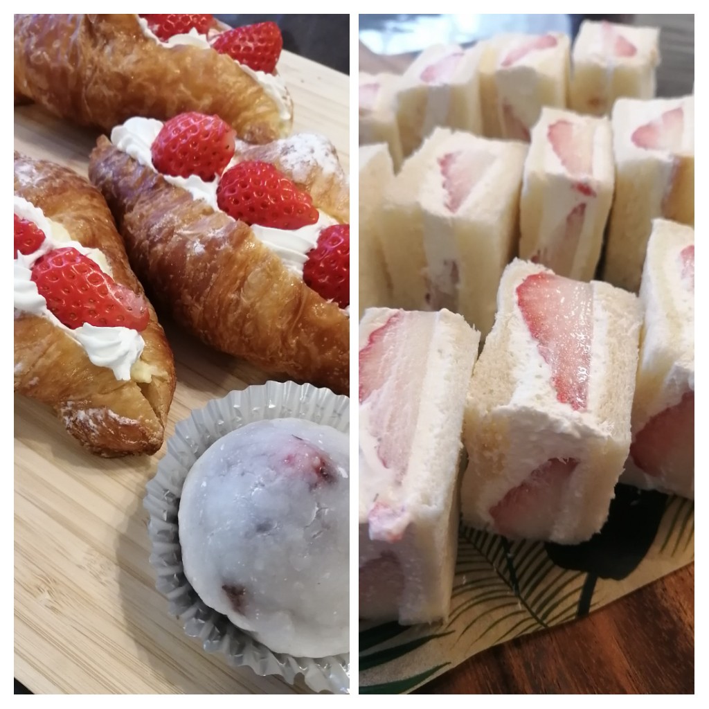 f:id:sofiaFP:20210124093233j:plain