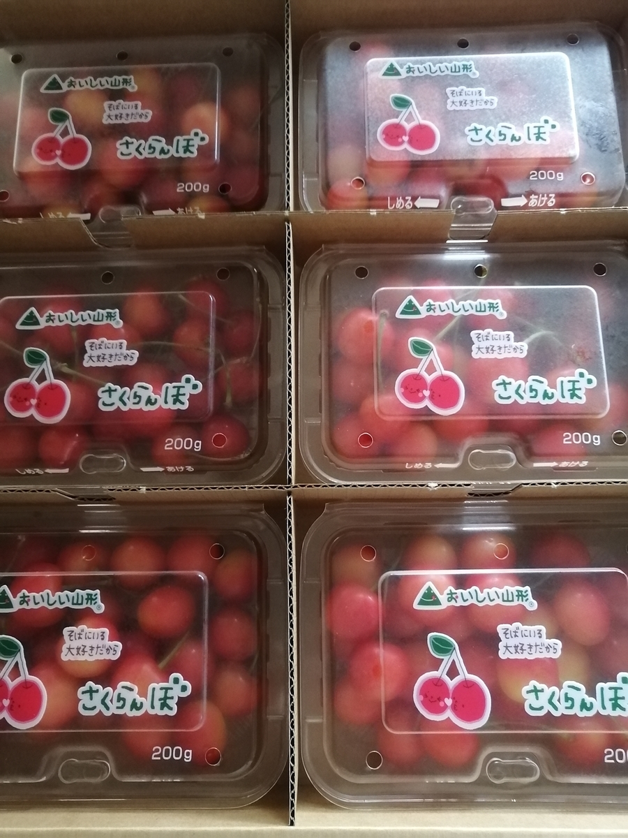 f:id:sofiaFP:20210620131957j:plain