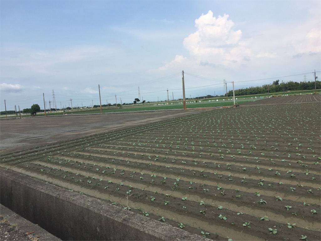 f:id:soft-machine:20160804040708j:image