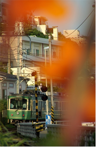 イメージ 1
