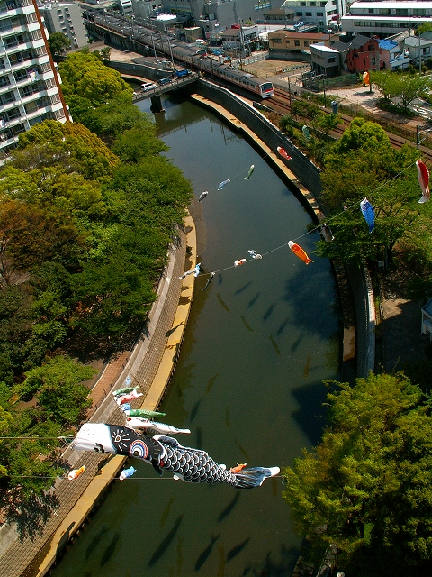 イメージ 2