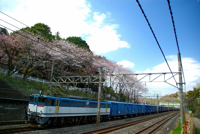 イメージ 2