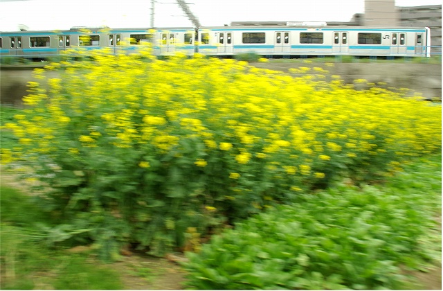 イメージ 2