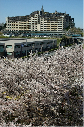 イメージ 2