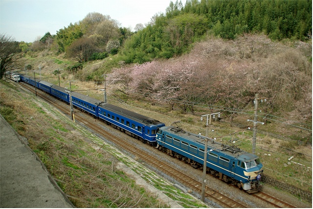 イメージ 2