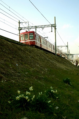 イメージ 5