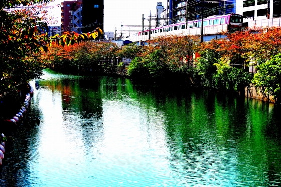 f:id:soft_machine:20201025092650j:plain